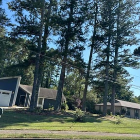 lawn service by FRL Landscaping reviewed on June 23, 2023
