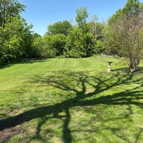 yard care by Lawn Anne Garden expressions- with the lawn lady reviewed on August 18, 2025