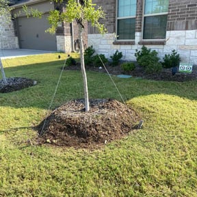 Flower Bed Weeding by OutdoorBrothers Lawn And Maintenance reviewed on October 19, 2025