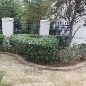 Bush Trimming by 12kids&i landscaping reviewed on August 17, 2025