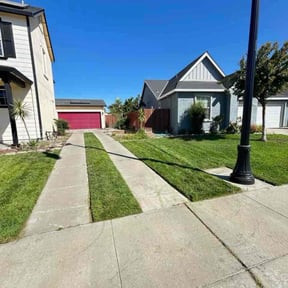yard maintenance by Green Hands Landscaping reviewed on August 15, 2025