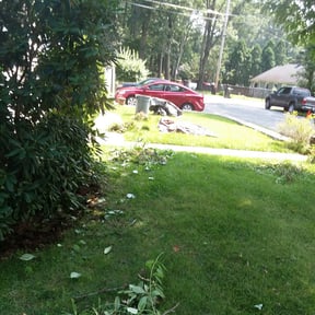 Bush Trimming by LI LawnCare reviewed on August 21, 2025