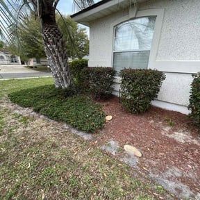 Bush Trimming by QuikkScap LawnCare reviewed on August 20, 2025