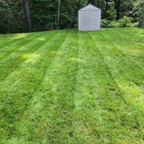 grass maintenance by Brown Lawn and Landscape L.L.C. reviewed on March 31, 2024