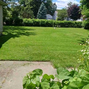 landscaping by Suffer Correct Seasonal Care reviewed on August 16, 2025