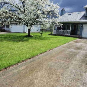 yard service by Mojica Lawn Care reviewed on August 20, 2025