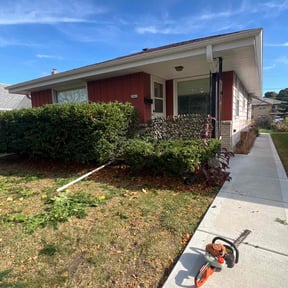 grass maintenance by Dennis Stephenson reviewed on January 9, 2025