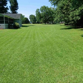 landscape maintenance by Anton Lawn Care reviewed on August 16, 2025