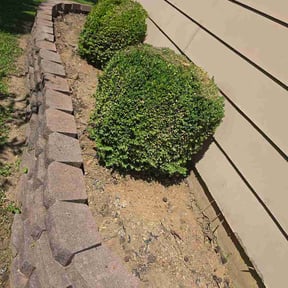 Flower Bed Weeding by Bear foot lawns reviewed on August 15, 2026