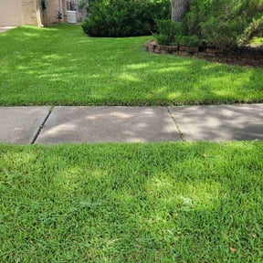 yard work by On Point Lawn Care reviewed on August 17, 2025