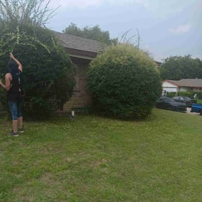 Bush Trimming by Shear Guardians Lawn Service reviewed on August 19, 2025
