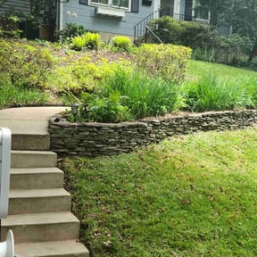 Bush Trimming by SolidDustLawns LLC reviewed on August 20, 2025