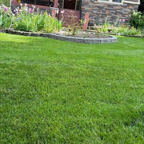 residential landscaping by MowDeal reviewed on November 28, 2025