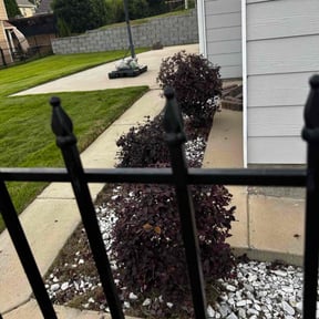 Bush Trimming by Bennett Lawn Maintenance reviewed on August 17, 2025