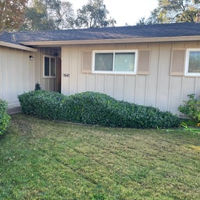 Bush Trimming by Lawn Busters LLC reviewed on August 15, 2025