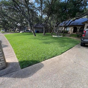 landscaping services by Bama Services LLC reviewed on August 19, 2025