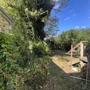 Leaf Removal by Ariel and daddy lawn care reviewed on September 12, 2025