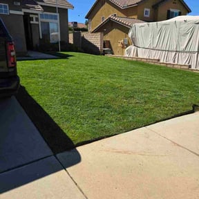 yard work by Anthony&#039;s Lawn and Maintenance reviewed on July 15, 2023