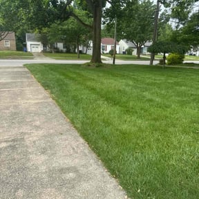 yard care by Rare Gardens reviewed on August 20, 2025