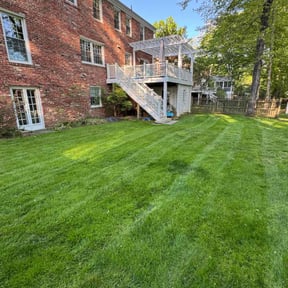 landscaping services by Lawn services JAV reviewed on August 16, 2025