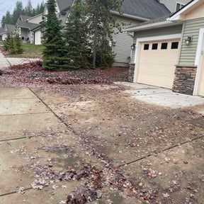Leaf Removal by First Patriot Landscaping reviewed on August 10, 2025