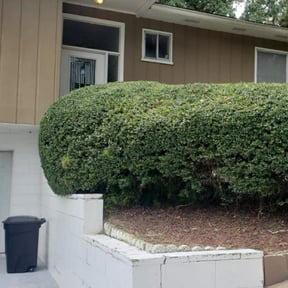 Bush Trimming by Donald Austile Lawn Care reviewed on August 17, 2025
