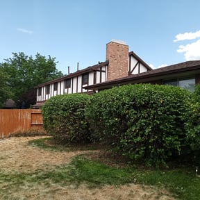 Leaf Removal by WS lawn care  reviewed on September 29, 2025