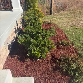 Leaf Removal by Positive Landscaping reviewed on November 19, 2025