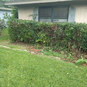 Bush Trimming by Grijalva's Lawn Care Services reviewed on August 16, 2025
