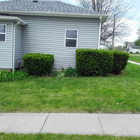 Bush Trimming by Jay-Lyns LLC reviewed on August 19, 2025