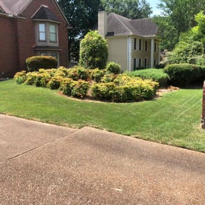 yard work by Contreras Outdoors reviewed on August 15, 2025