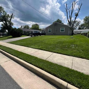 residential landscaping by Y&R reviewed on August 21, 2025