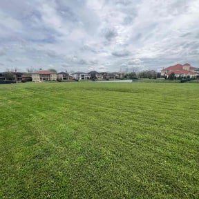 residential landscaping by Speedy Lawnmower Landscaping reviewed on August 15, 2025