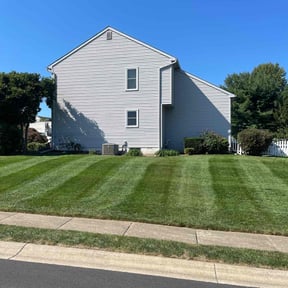 yard work by DabNDads reviewed on August 20, 2025