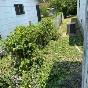 Bush Trimming by Tyler lawn service reviewed on August 20, 2025