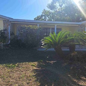 Bush Trimming by Isaiah's Custom Cutz reviewed on December 21, 2025