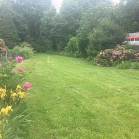 lawn care by Sovereign building services reviewed on August 17, 2025