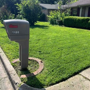 yard care by Haymes Grass Grooming reviewed on August 19, 2025