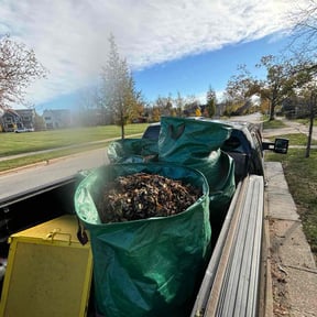 Leaf Removal by Sirius Enterprise LLC reviewed on August 20, 2025