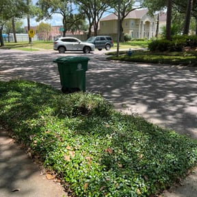 Bush Trimming by A-1 Affordable Lawn Care reviewed on August 19, 2025