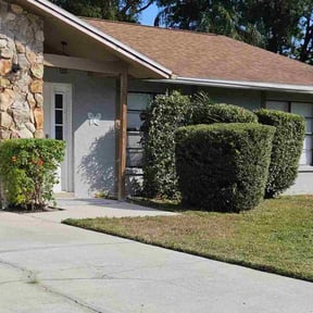 Bush Trimming by R&amp;R and Sons Landscaping reviewed on June 18, 2022