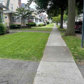 lawn care by Herrera and Sons Lawn Care reviewed on September 12, 2023