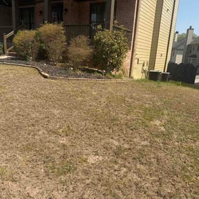 Leaf Removal by Tanisandson@gmail.com reviewed on March 30, 2026
