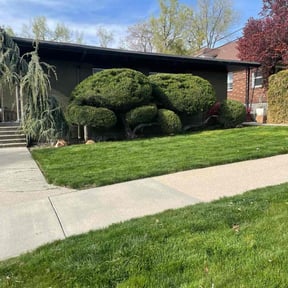 yard care by MB Williams Lawn Care Services reviewed on August 18, 2025