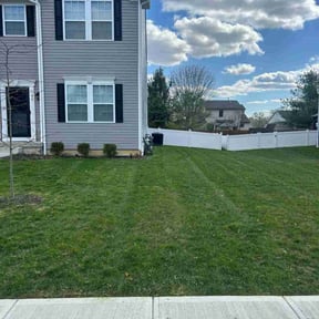 landscaping by Andrew James Property Maintenance reviewed on August 17, 2025