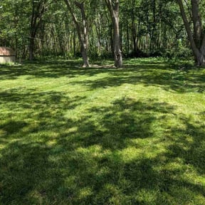 landscaping services by King of Lawn Care LLC reviewed on August 20, 2025