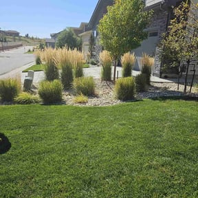 Cleanups by Spare Time Hardscape reviewed on May 1, 2022