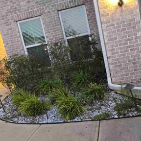 Bush Trimming by Mojica Lawn Care reviewed on December 18, 2025