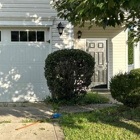 Bush Trimming by Hughes landscaping reviewed on October 23, 2025