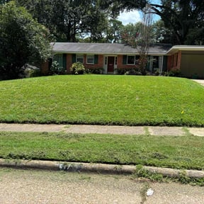 landscaping by Austria Lawn Care reviewed on August 15, 2025